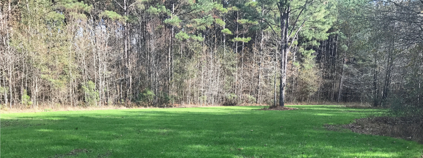 Hunters: Keep Your Food Plot Seed Safe Until It Sprouts