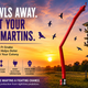 How to keep owls away from purple martin houses using the AirCrow Snake Inflatable owl deterrent.