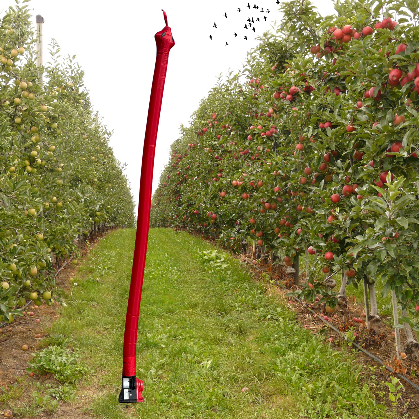 15 ft Snake Electric Inflatable Scarecrow