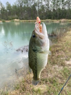 Floating Shrimp-it™ Jumbo