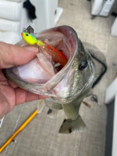 Floating Shrimp-it™ Jumbo