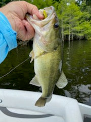 Floating Shrimp-it™ Jumbo