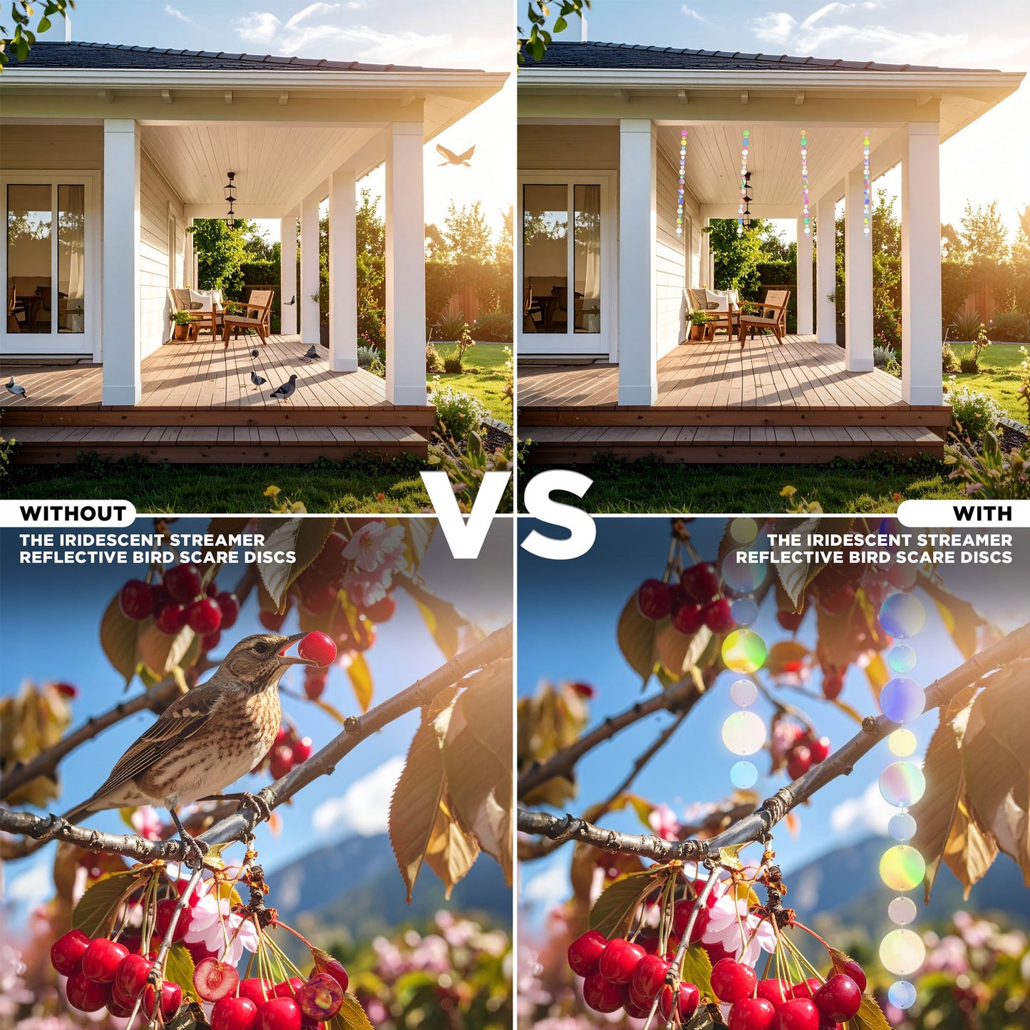 Iridescent Streamer Bird Disc Reflectors 8-Pack