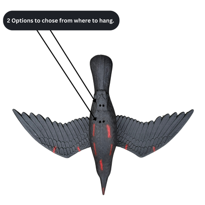 DeadCoy™ Bleeding Crow Effigy Decoy