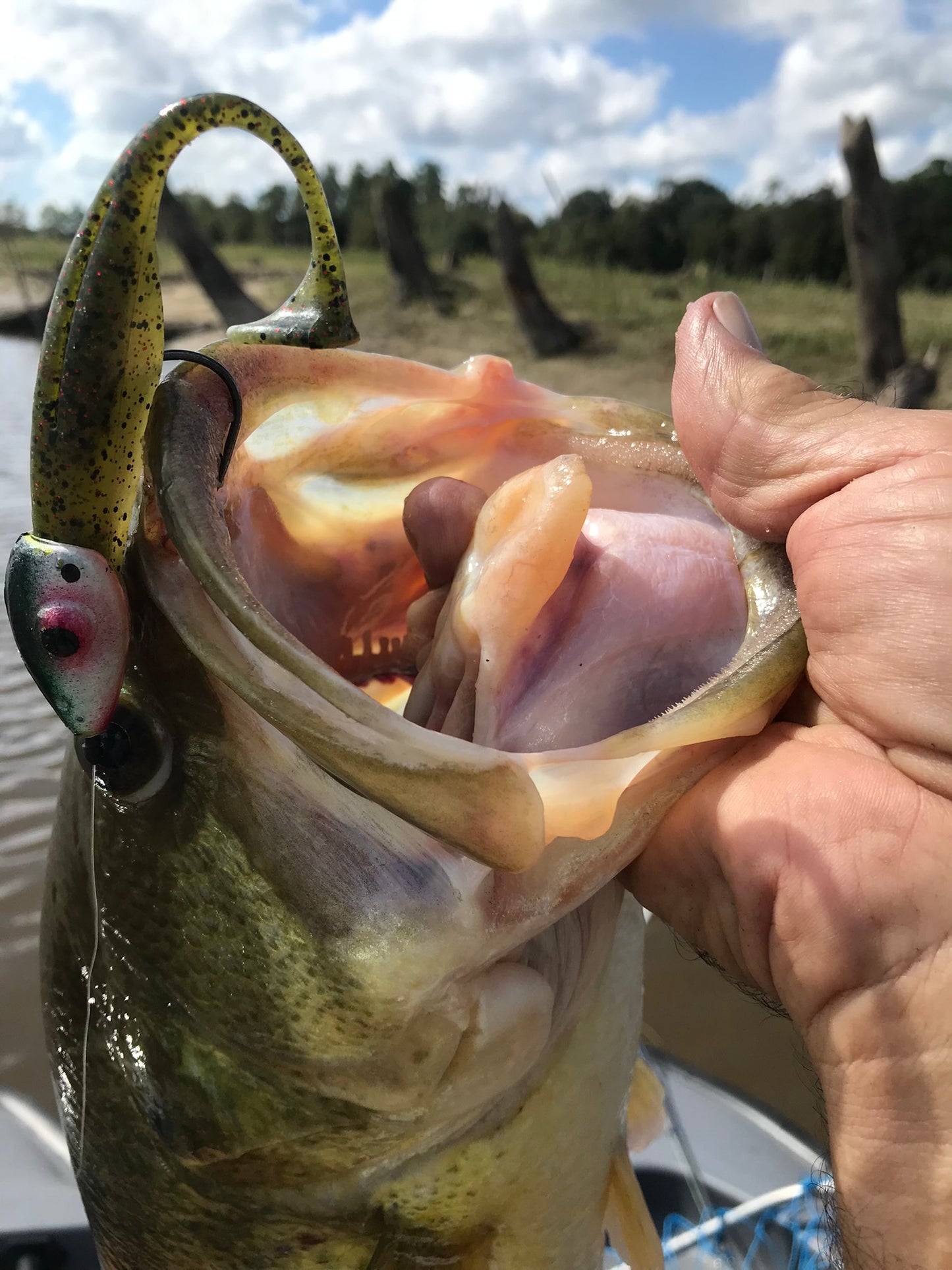 fake floating shrimp lure for bass topwater fishing