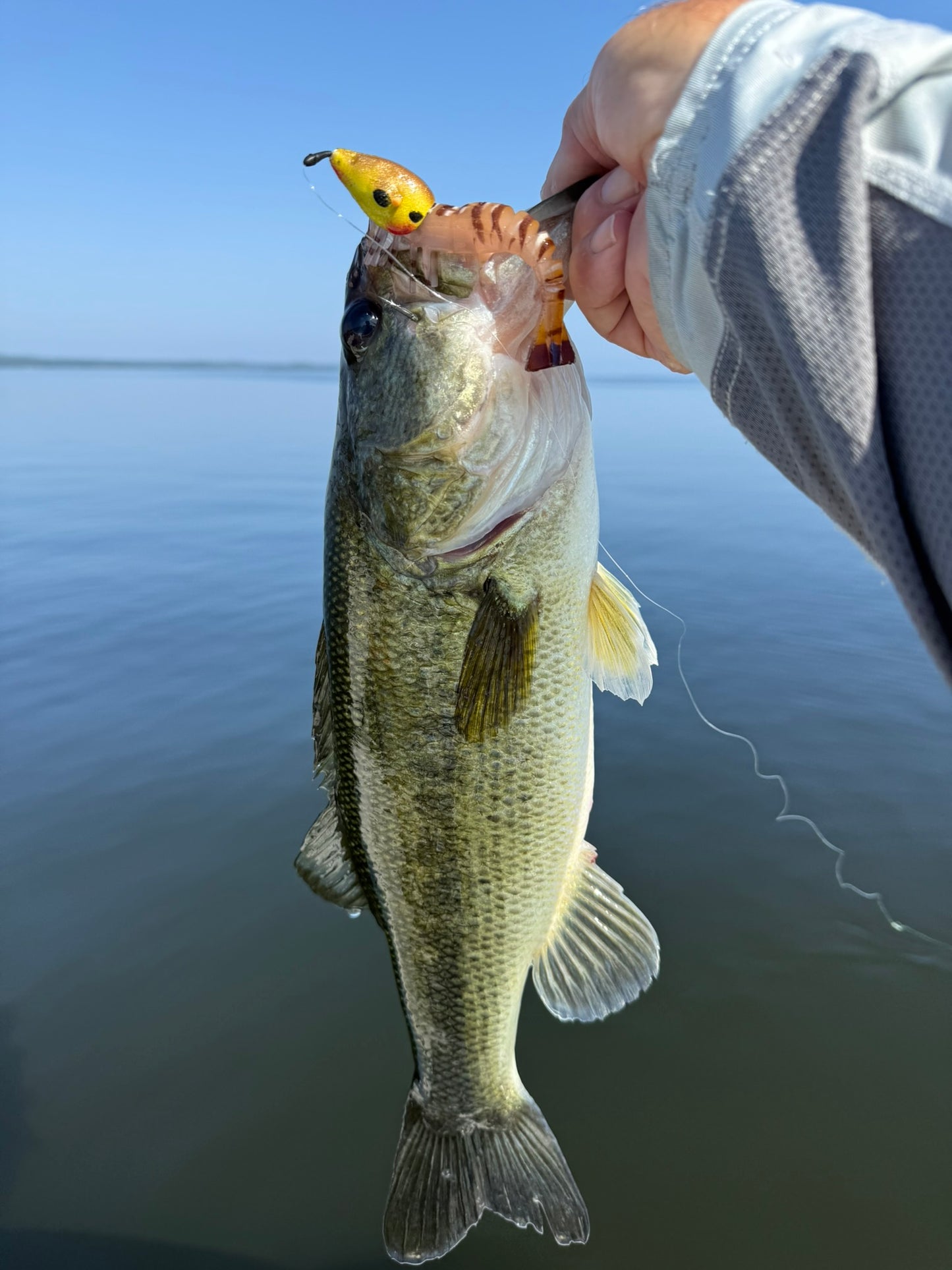 how to catch bass using fake shrimp lure topwater
