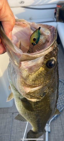secret bass fishing lure for topwater