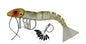 Floating shrimp lure for redfish and bass topwater fishing