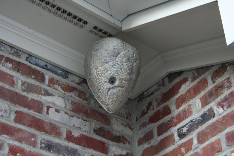 Hornet's Nest Wasp Deterrent